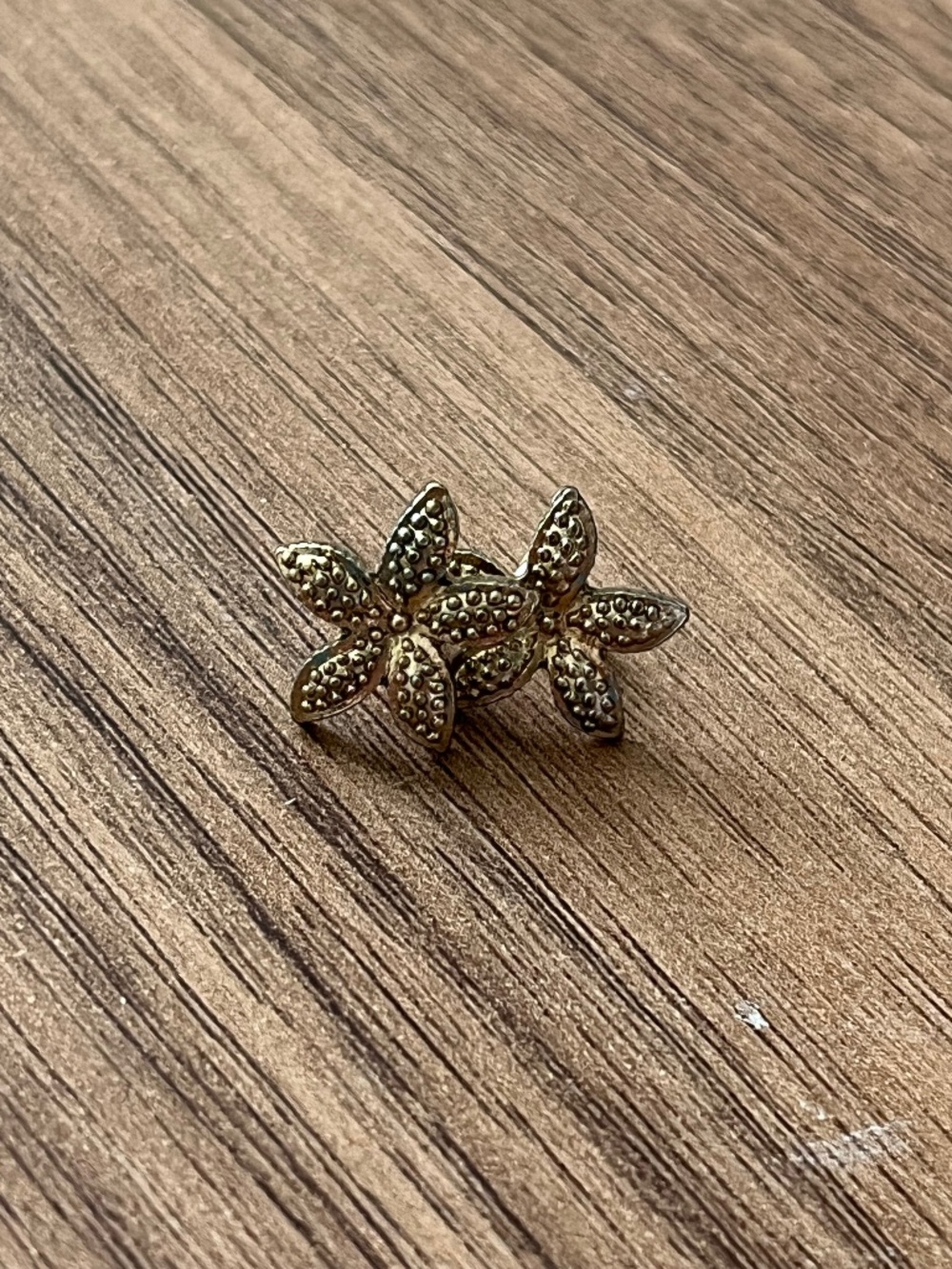 Starfish earrings ! Gorgeous !
